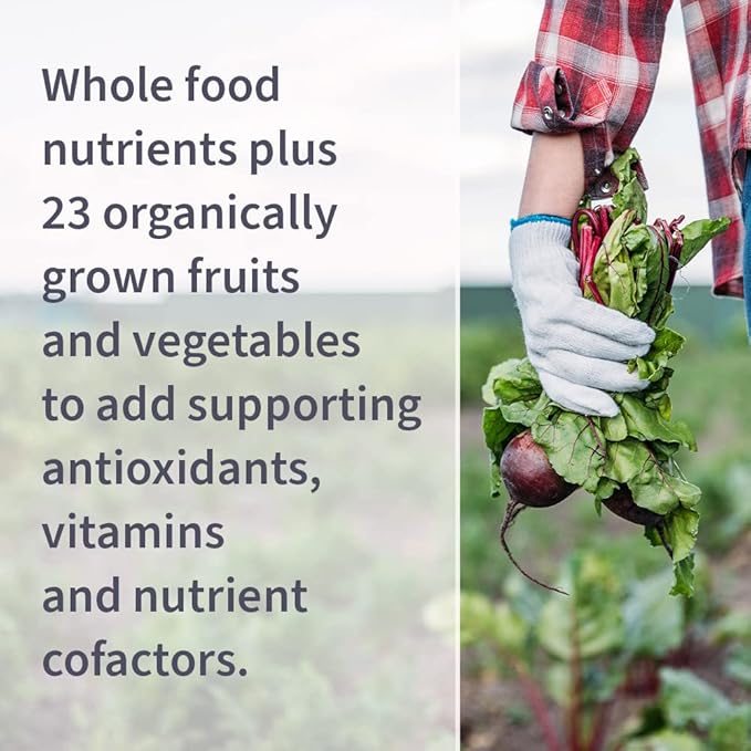 Garden of Life Once Daily Whole Food Multivitamin for Men