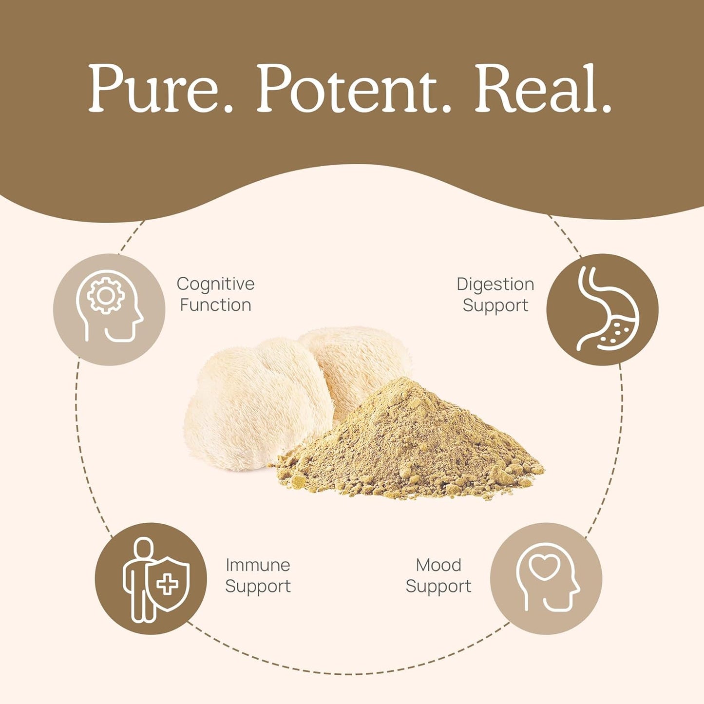 Lions Mane Mushroom Cognition