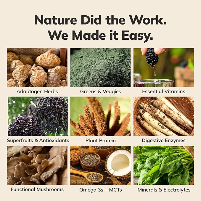 Ka’Chava Whole Body Meal Shake – Coconut Acai