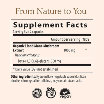 Lions Mane Mushroom Cognition