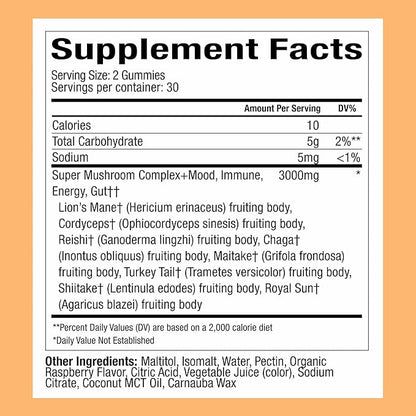 Plant People WonderDay Mushroom Gummies – Wild Raspberry
